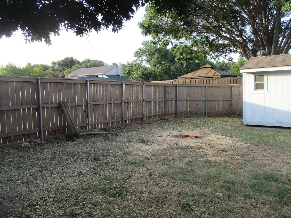 Cleared yard after professional tree removal in Elkader